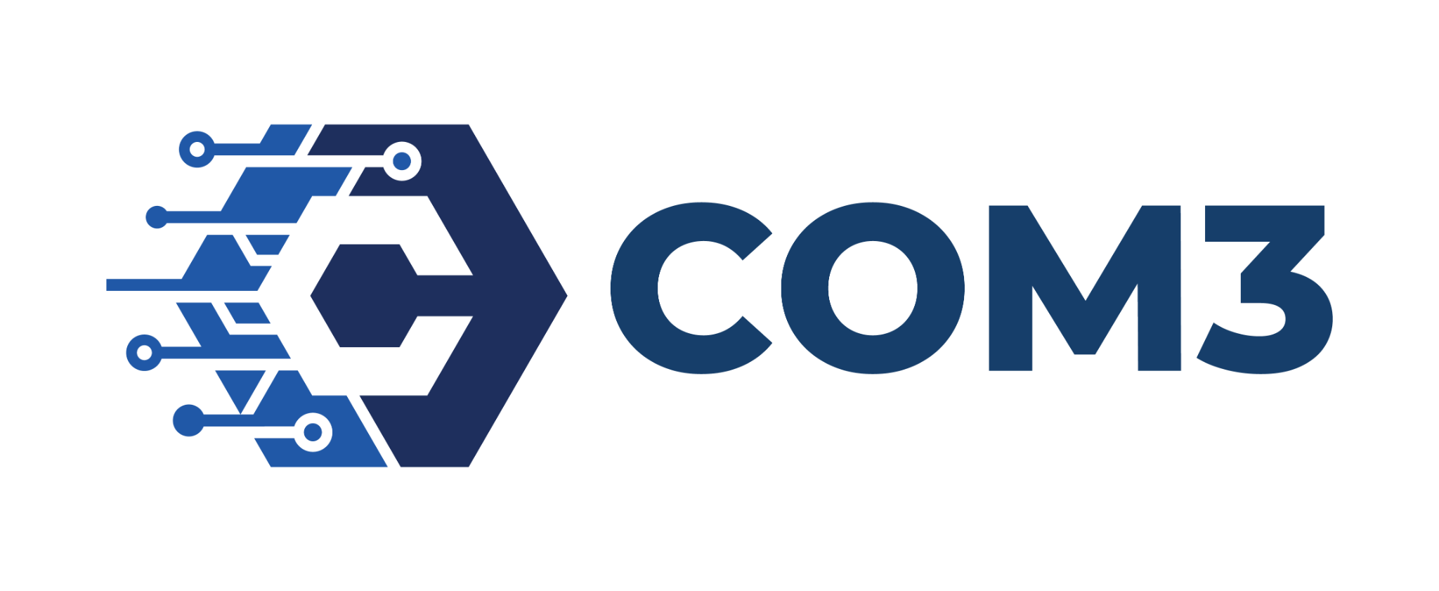 COM3